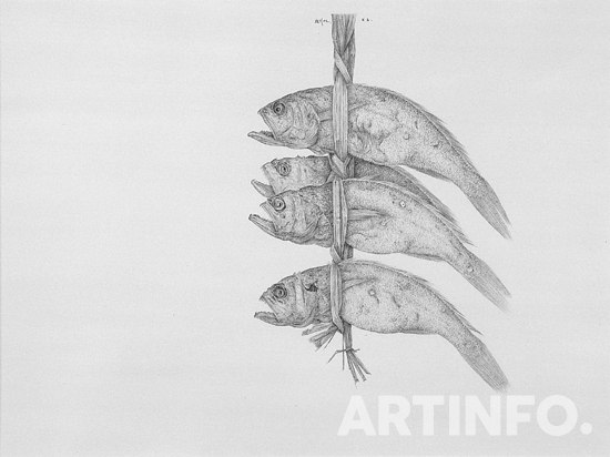 원석연, '굴비'. 49x36cm,종이에 연필,1986.