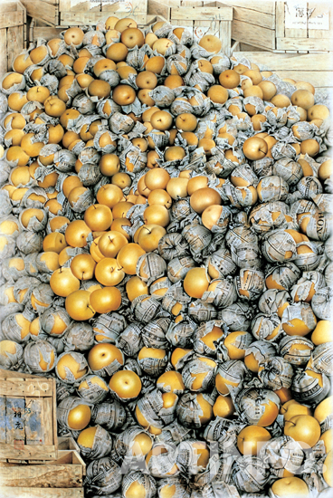 이상원, '풍년'. 천위에 먹과 유화물감, 106x161cm, 1977.(사진=이상원미술관)