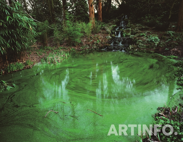박형근, 'Untitled 2, Green pond'. 100 × 125cm, C-프린트, 2004.