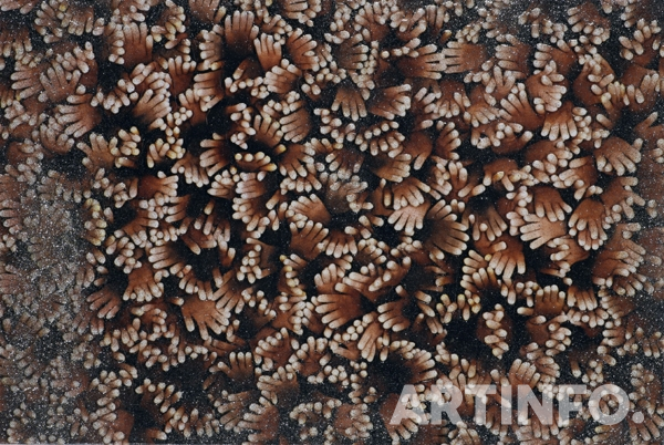 정경연, '어울림B'. 43x63.5cm, Mixed Media on Canvas, 2008.