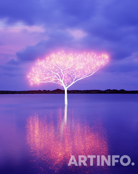 이정록, 'Tree of Life 5-4-8'. 120 ×95cm, C-Type Print, 2013.(사진=아트스페이스 루모스)