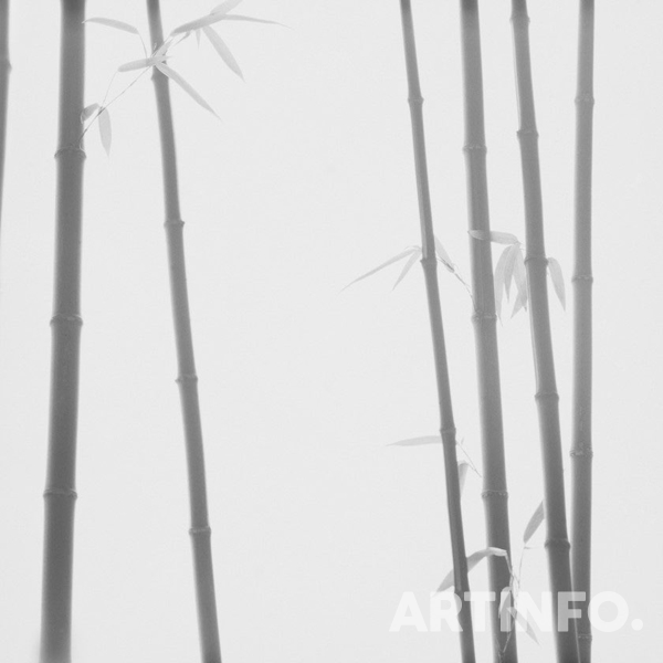 최병관, 'Bamboo Gray #BG-02'. archival pigment print, 50x50cm, 에디션 7.