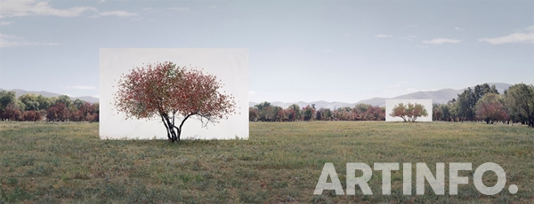 이명호,'Tree... #7'. 78 x 173cm(with frame 84x179cm), Ink on Paper, 2014.