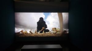 [클릭아트] 미술관을 영화관으로 변신시킨 영화 거장 '스탠리 큐브릭'